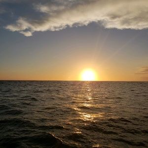 Meet your Posher, Shari